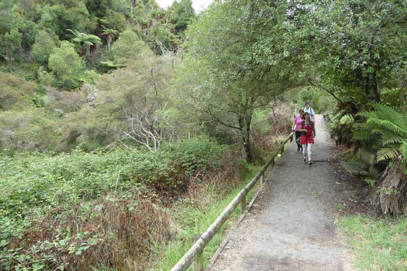 Nieuw-Zeeland 2011 - 0718
